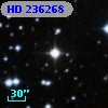 HD 236268