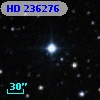 HD 236276
