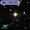 HD 236275