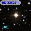 HD 236274