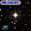 HD 236282