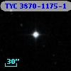 TYC 3870-1175-1