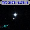 TYC 3877-1179-1