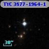 TYC 3877-1964-1