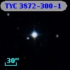 TYC 3872-300-1