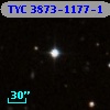 TYC 3873-1177-1