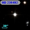 HD 238492