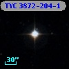 TYC 3872-204-1