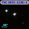 TYC 3875-1236-1