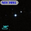 NSV  7091