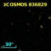 zCOSMOS 836829