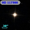 HD 117900
