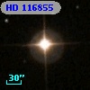 HD 116855