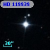 HD 118838