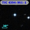 TYC 4394-981-1