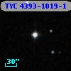TYC 4393-1019-1