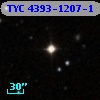 TYC 4393-1207-1