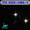 TYC 4393-1466-1