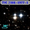 TYC 2166-1977-1