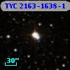 TYC 2163-1638-1