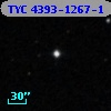 TYC 4393-1267-1