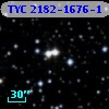 TYC 2182-1676-1