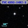 TYC 4393-1492-1
