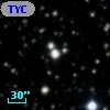 TYC 2117-1743-1