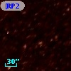 [RP2006]  895