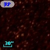 [RP2006] J050626-684430