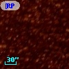 [RP2006] J052052-695002