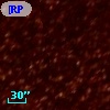 [RP2006] J052221-700013
