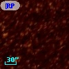 [RP2006] J052238-700420