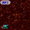 [RP2006] J053129-695042
