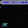 CNOC2 0223 130491
