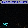 CNOC2 0223  31673