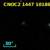 CNOC2 1447 101860