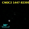CNOC2 1447  82395