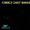 CNOC2 1447  40441