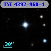 TYC 4392-960-1