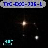 TYC 4393-736-1