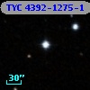 TYC 4392-1275-1