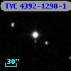 TYC 4392-1290-1