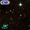 CXOU J202117.4+364723