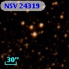 NSV 24319