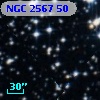 NGC  2567    50