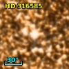HD 316585