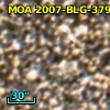 MOA  2007-BLG-379
