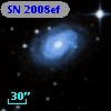 SN 2008ef