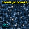 2MASS J01000989-7313179